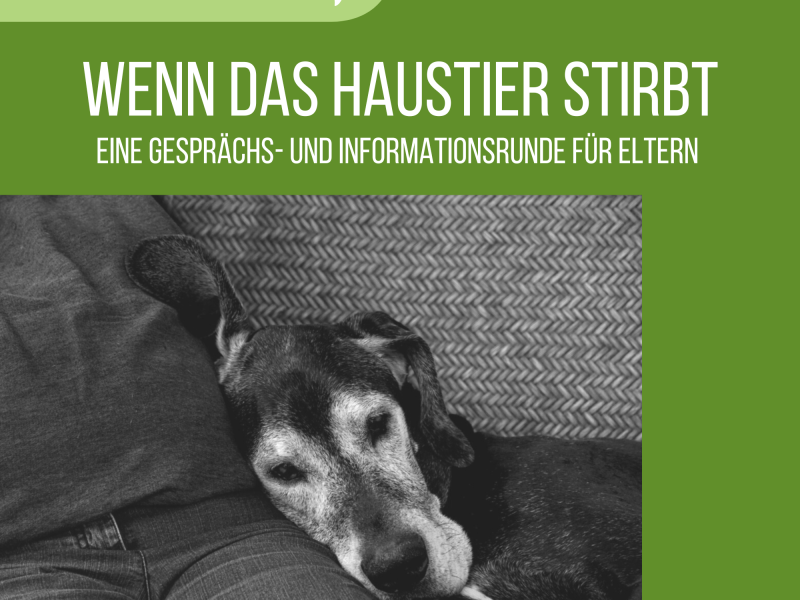 Tierschutz-Talk Wenn das Haustier stirbt - Save the date!